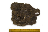 F 00153
<br/>
<br/>
<em></em>